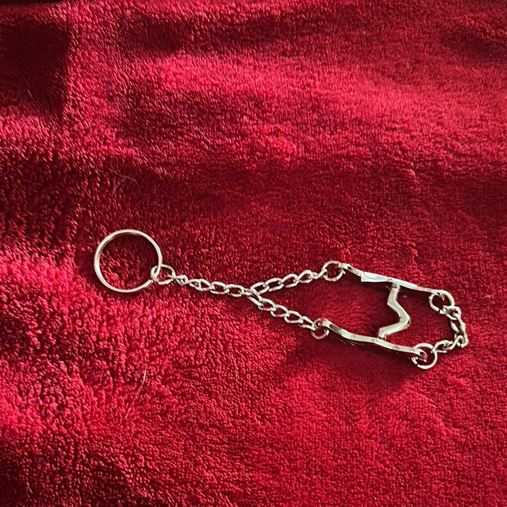 Silver Chain Keyring